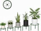 5 Pack Plant Stand for Flower Pot Heavy Duty Potted Holder Home, Round Plant - Image 2