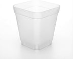 120 Packs Square Clear Nursery Pots - Image 8