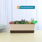 Window Box Planter with Tray - Image 4