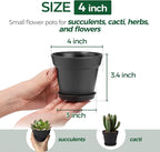 T4U 4 Inch Plant Pots 8-Pack, Small Flower Pots - Image 2