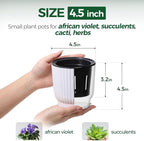 T4U 4.5 Inch Plant Pots Self Watering, 6 Pack African Violet Pots, Small Plant - Image 2
