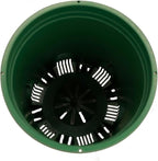 5 Gallon 20-Pack Green Nursery Pot Black Plastic Planters in Bulk - Image 3