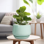 G EPGardening Ceramic Pots for Plants - Image 4