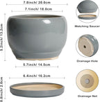 SQOWL Ceramic Pot for Plants - Image 3