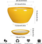 Ceramic Planter 9 Inch - Image 3