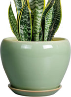 8 Inch Plant Pot by Ceramicfor