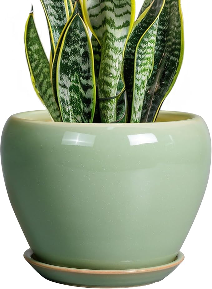 8 Inch Plant Pot by Ceramicfor
