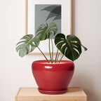 10 Inch Plant Pot - Image 7