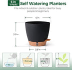 T4U 6 Inch Self Watering Pots for Indoor Plants - Image 3