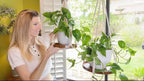 2 Pack Macrame Plant Hanger | Plant Hanger Indoor, Hanging Planter Shelf | - Image 6