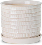 5.8 Inch Plant Pot: Ceramic Planter by Chubacoo