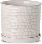 8 Inch Plant Pot: Ceramic Planter by Chubacoo