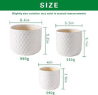 Docrin Plant Pots Indoor with Drainage: 6.4+5.3+4 Inch Ceramic Flower Pots - Image 2