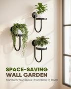 Wall Plant Holder – Hanging Planters - Image 4