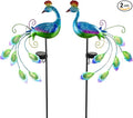 DREAMSOUL 2 Pack Metal Peacock Solar Lights Outdoor Waterproof LED Solar Lights by DREAMSOUL