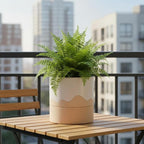 Nihow Self Watering Plant Pot: 6 Inch Ceramic Planter - Image 6