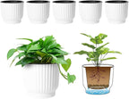T4U 4.5 Inch Plant Pots Self Watering, 6 Pack African Violet Pots, Small Plant by T4U