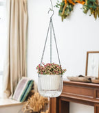 Josteve 6.5 Inch 2 Pcs Self Watering Hanging Planter Indoor Plant Pots Drainage - Image 4