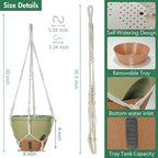 Self-Watering Hanging Planters for Indoor Plants Set 2-Piece Includes Plant - Image 2