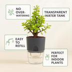Self Watering Planter Pot with Upgraded Wick System – Modern Indoor Plant Pot - Image 6