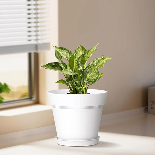 5 Inch Plastic Plant Pots with Drainage Holes and Trays – 6 Pack Small Nursery - Image 2