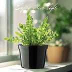 BTPLASTIK 15 Pack 6 Inch Plastic Plant Pots - Image 6
