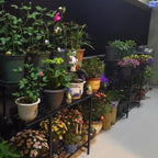 Zhongma 3 Tier Sturdy Plant Stand Space-Saving Heavy Duty Plant Holder - Image 3
