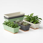 Window Box Planter, 6 Pack Plastic Vegetable Flower Window Planters Boxes 16 by LesOasis
