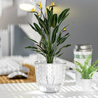 6 Pack 4 inch Self Watering Pots Planters - Image 5