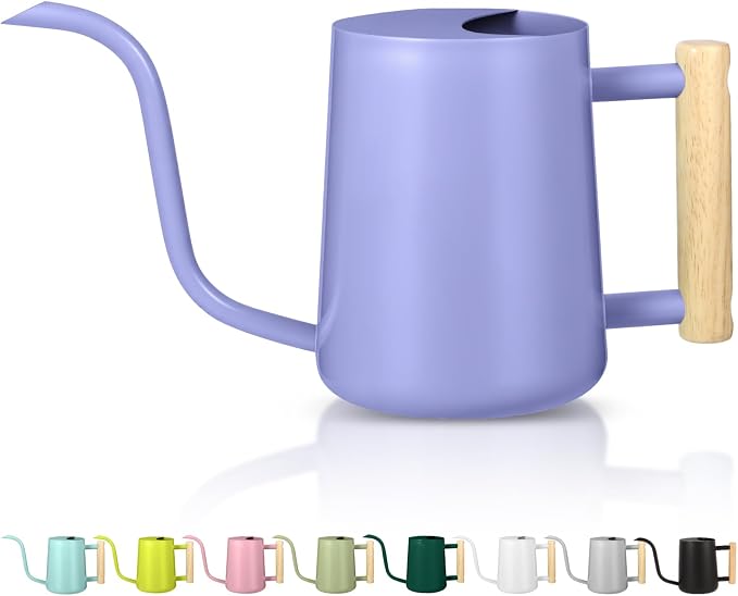 Watering Can Indoor Plants, 35oz Small Stainless Steel Metal Watering Can by GUKJOB