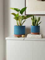 LE TAUCI Ceramic Pots for Plants, 8+6.7+5.5 Inch Plant Pots Indoor, Flower Pot - Image 2