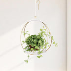 Mid Century Boho Macrame Metal Planter by Adnkwolivt