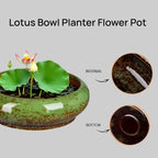 7.3 Inch Succulent Planters Pots Shallow Ceramic Glazed Planter Pots, Lotus - Image 3