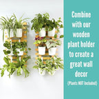 LaLaGreen Hanging Planters - Image 6