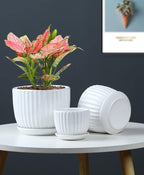 Ton Sin White Plant Pots Set of 3, Indoor Ceramic Flower Pot - Image 3