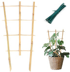 Bamboo Trellis 10 Pack, 16in Fan-Shaped Plant Trellis Indoor by Cambaverd