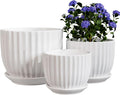 Ton Sin White Plant Pots Set of 3, Indoor Ceramic Flower Pot by TonSin