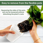 80 Pcs Nursery Pots 4 Inch, Plastic Seed Starting Pot - Image 2