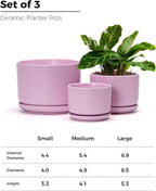 Ton Sin Pink Flower Pots, Ceramic Planter Pot - Image 3