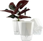 3 Packs Self Watering Plant Pots, Plastic Flower Pots by Unknown