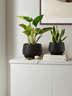 LE TAUCI Plant Pots, 4.1+5.1+6.5 inch, Ceramic Planters - Image 8