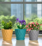 6 Inch Plant Pots, 6 Pack Indoor Flower Pots, Planters - Image 5