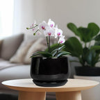G EPGardening Ceramic Planter 7 Inch - Image 2
