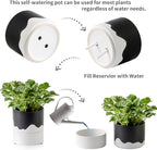 Nihow Self Watering Plant Pot: 6 Inch Ceramic Planter - Image 3