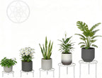 5-Pack Metal Plant Stand for Heavy Potted Plant for Home Indoor and Outdoor - Image 2