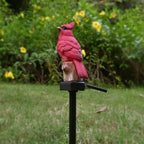 Cardinal Garden Decor Red Bird Figurine Memorial Solar Light Outdoor Stake - Image 3