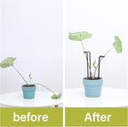 10 Pack Indoor Plant Support for Monstera Trellis Stakes and Stem Holder - Image 3