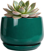 G EPGardening 6 Inch Plant Pot by GEPGardening