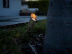 12V LogiSpot Brass Outdoor Spotlight - Image 8