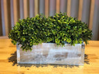 Wood Planter Box with Tin Style, 12x4 Inch Rectangular, Plastic Liner, Garden - Image 9